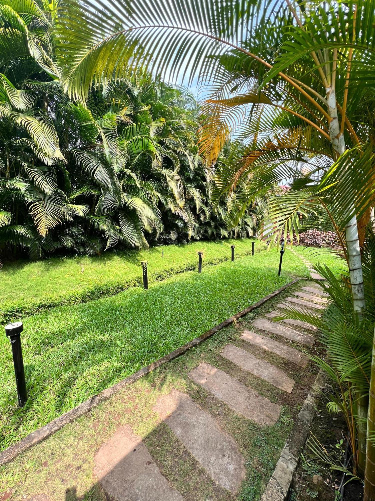 Plumeria Resort Kushalnagar Ngoại thất bức ảnh